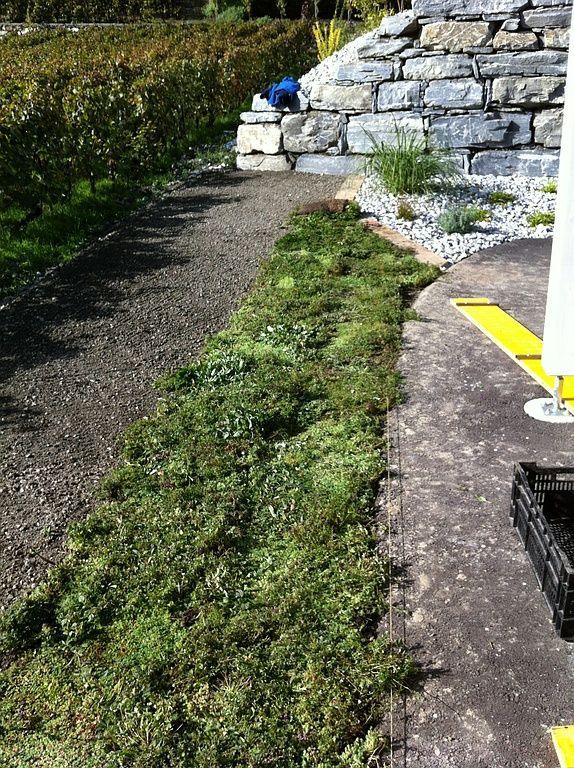 Pose de gazon pré-cultiver - Cédric Devènes - Riddes