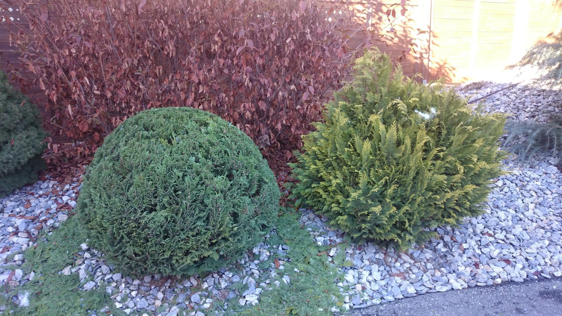 paysagiste-creation-jardin