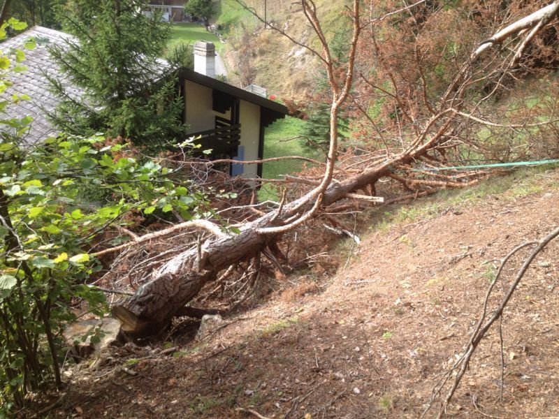 paysagiste-creation-jardin