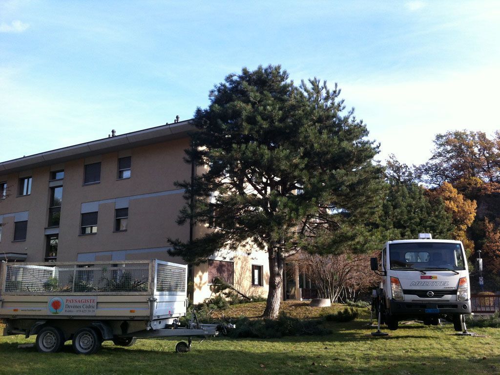 paysagiste-creation-jardin