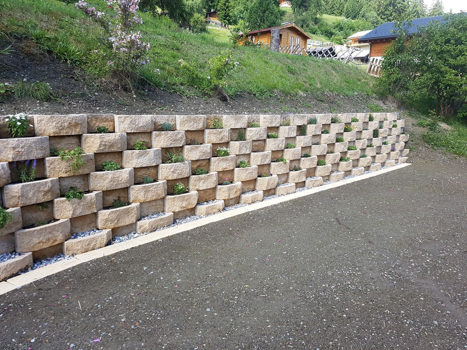 paysagiste-creation-jardin