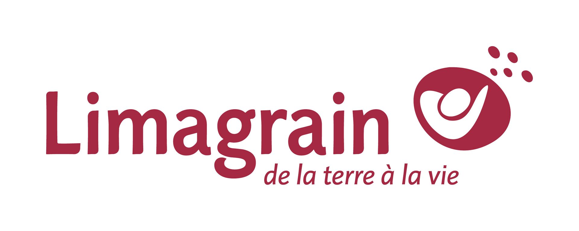 Logo magrain