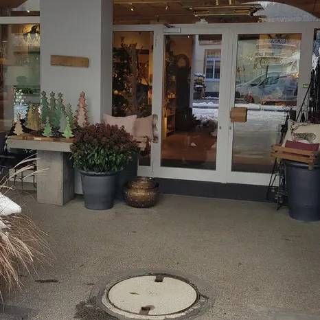 Ein Eingangsbereich mit Terrasse aus Beton, einer Topfpflanze, einem Tisch mit kleinen Zierbäumchen und verglasten Doppeltüren.