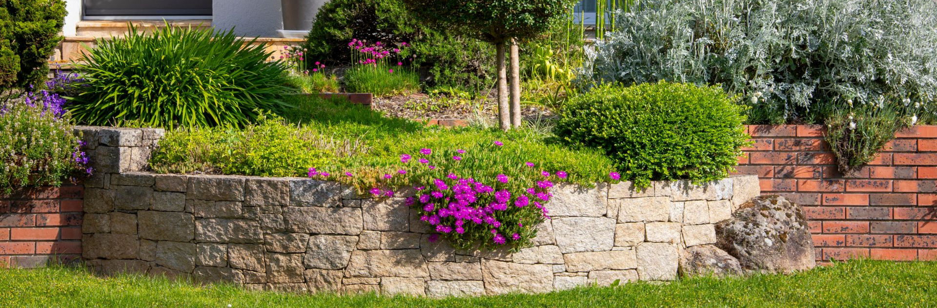 Un mur de soutènement en pierre orné de plantes. Un arbre et de la maçonnerie sont visibles en arrière-plan.