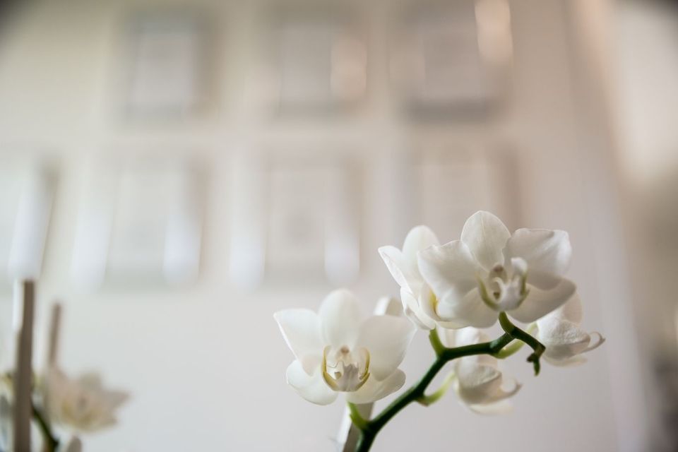 Blume