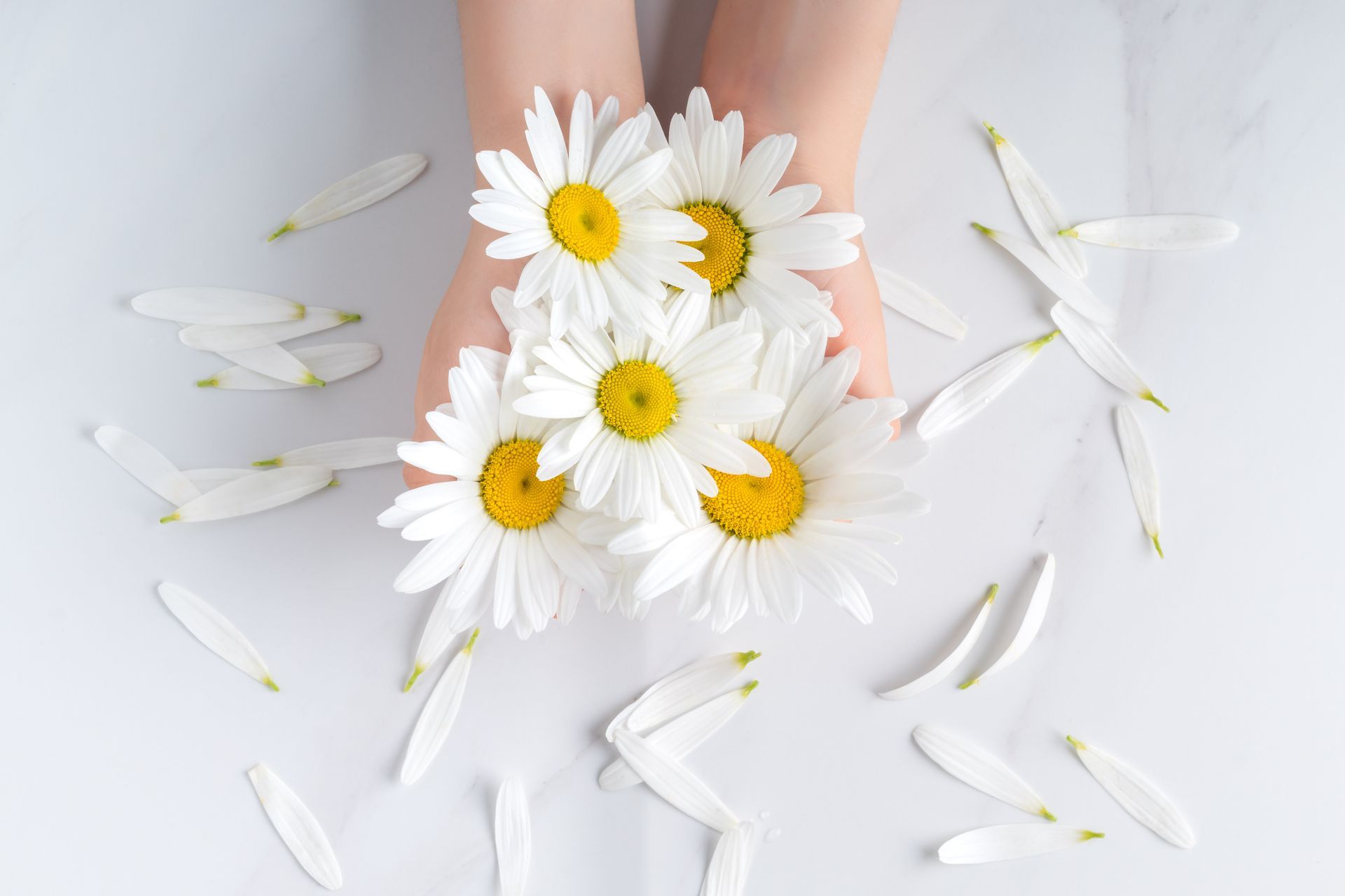 Kind hält weiße Blumen