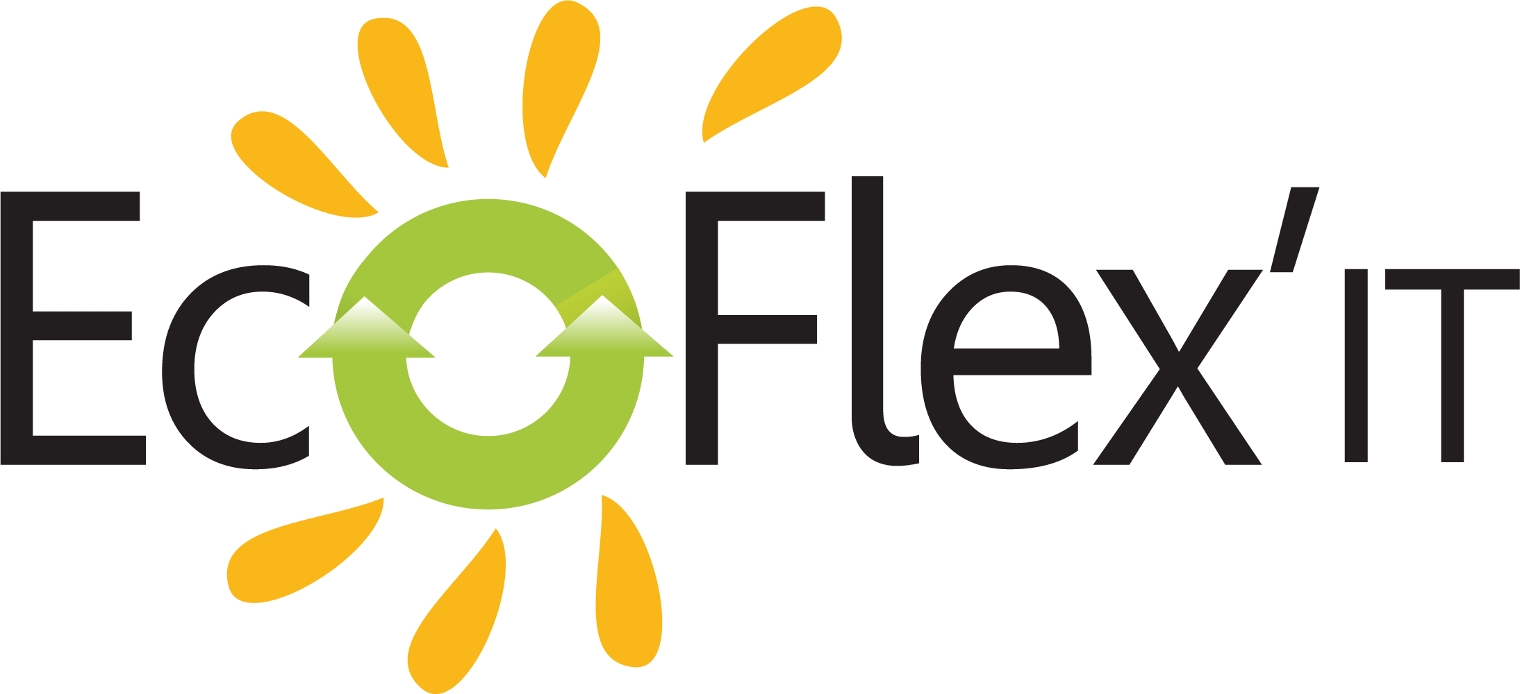Logo de EcoFlex'IT