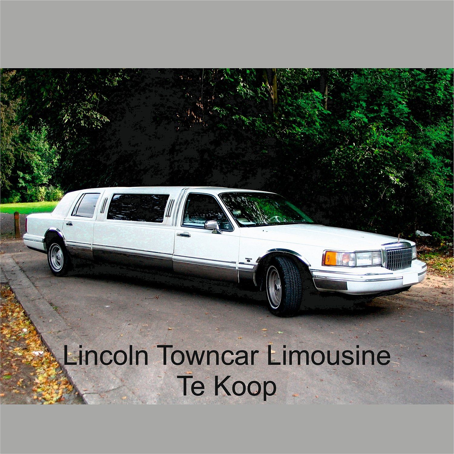 Limousine kopen