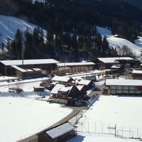 Reinhard Holz AG, Erlenbach, Sägewerk / Holztröchnungsanlagen