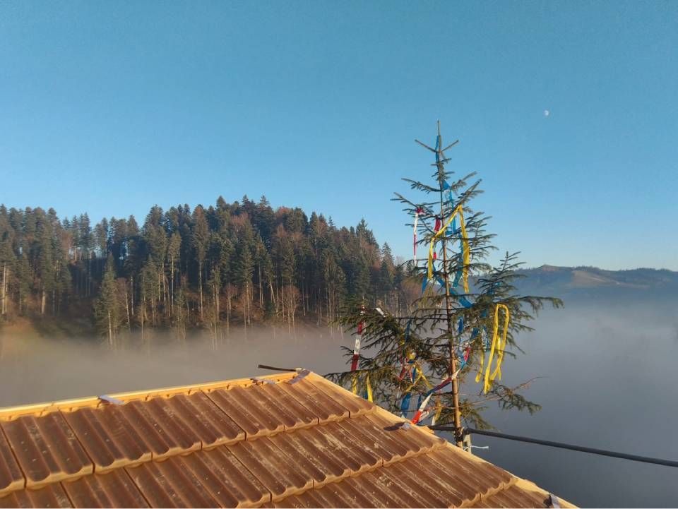 Ein verschneites Dach mit Blick auf einen nebelverhangenen, bewaldeten Hügel mit einer geschmückten immergrünen Pflanze unter klarem, blauem Himmel
