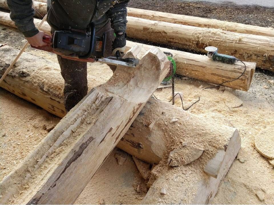 Ein Arbeiter benutzt eine Kettensäge, um einen grossen Baumstamm in einem Holzfällergebiet zu bearbeiten.