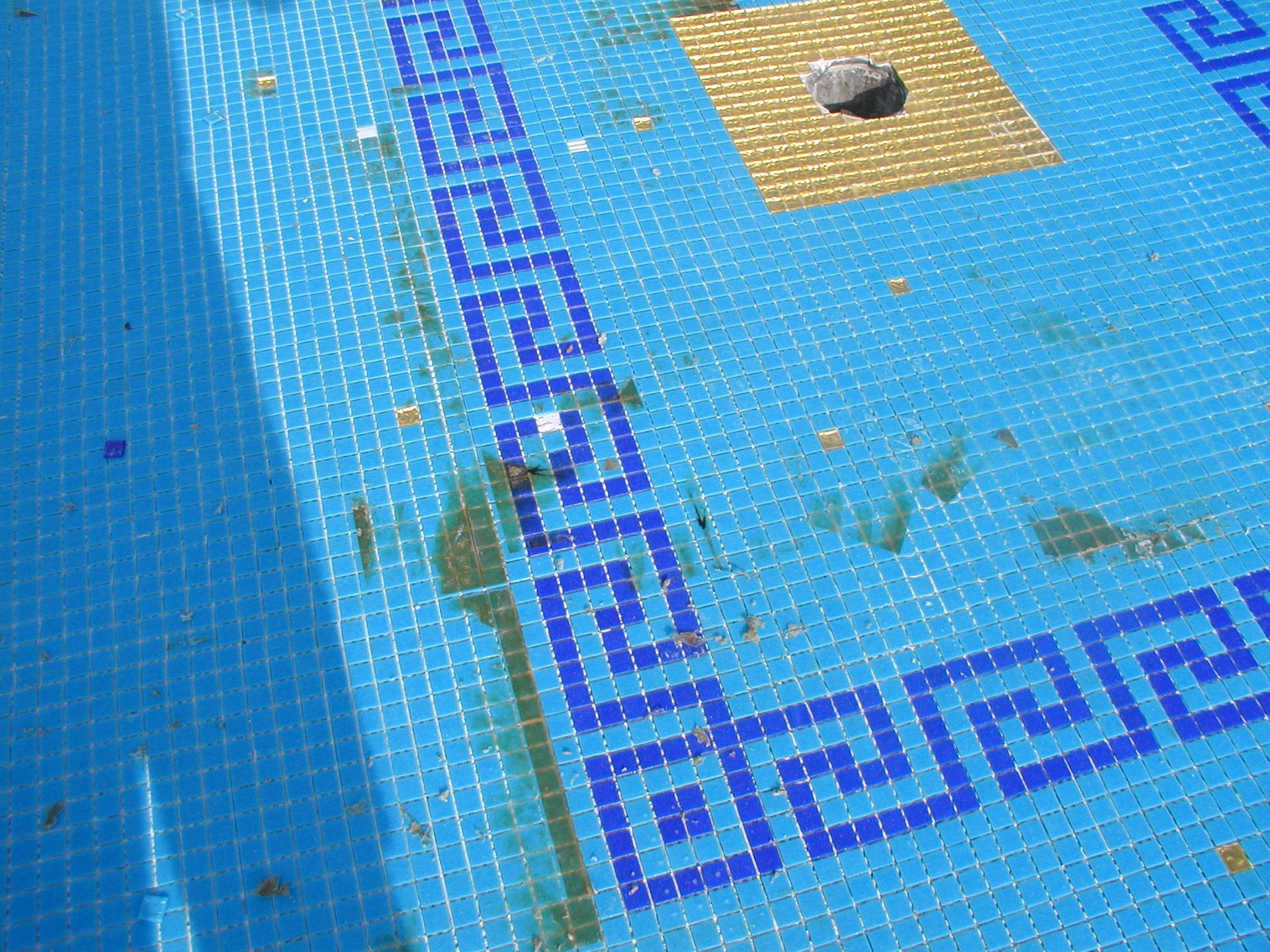 Blau gefliester Pool mit dekorativem Rand und einem goldgefliesten Quadrat, auf dem Algen und Ablagerungen zu sehen sind.
