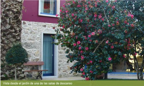 Un árbol con flores rosas está frente a un edificio de piedra.