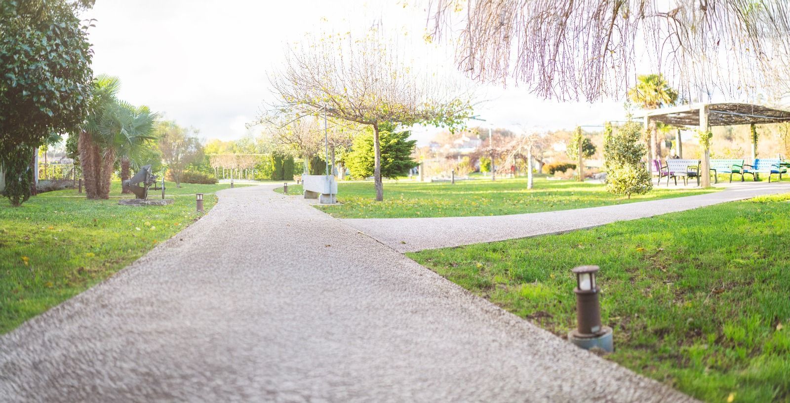 Una imagen borrosa de un camino en un parque con árboles y bancos.