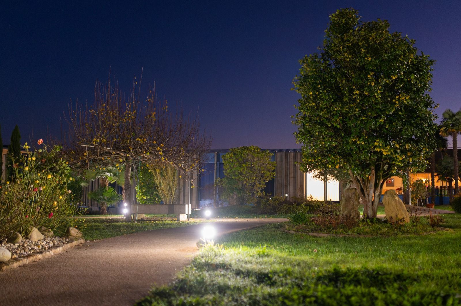 Un camino en un parque está iluminado por la noche.