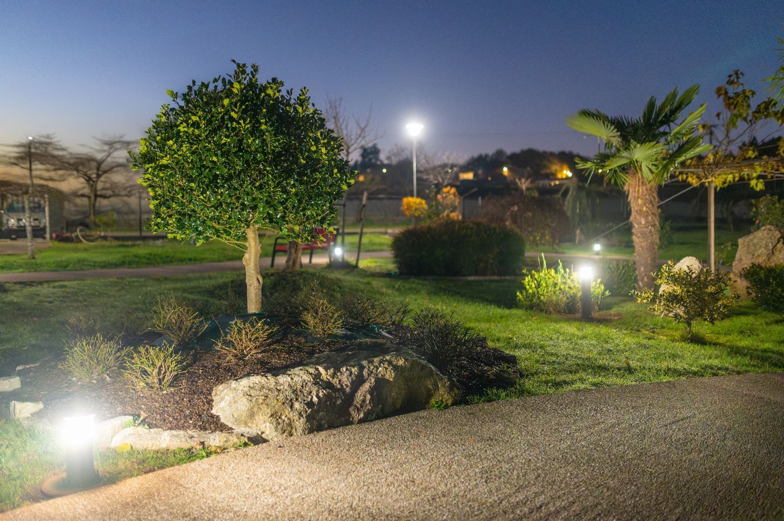 Un parque está iluminado por la noche con árboles y rocas.