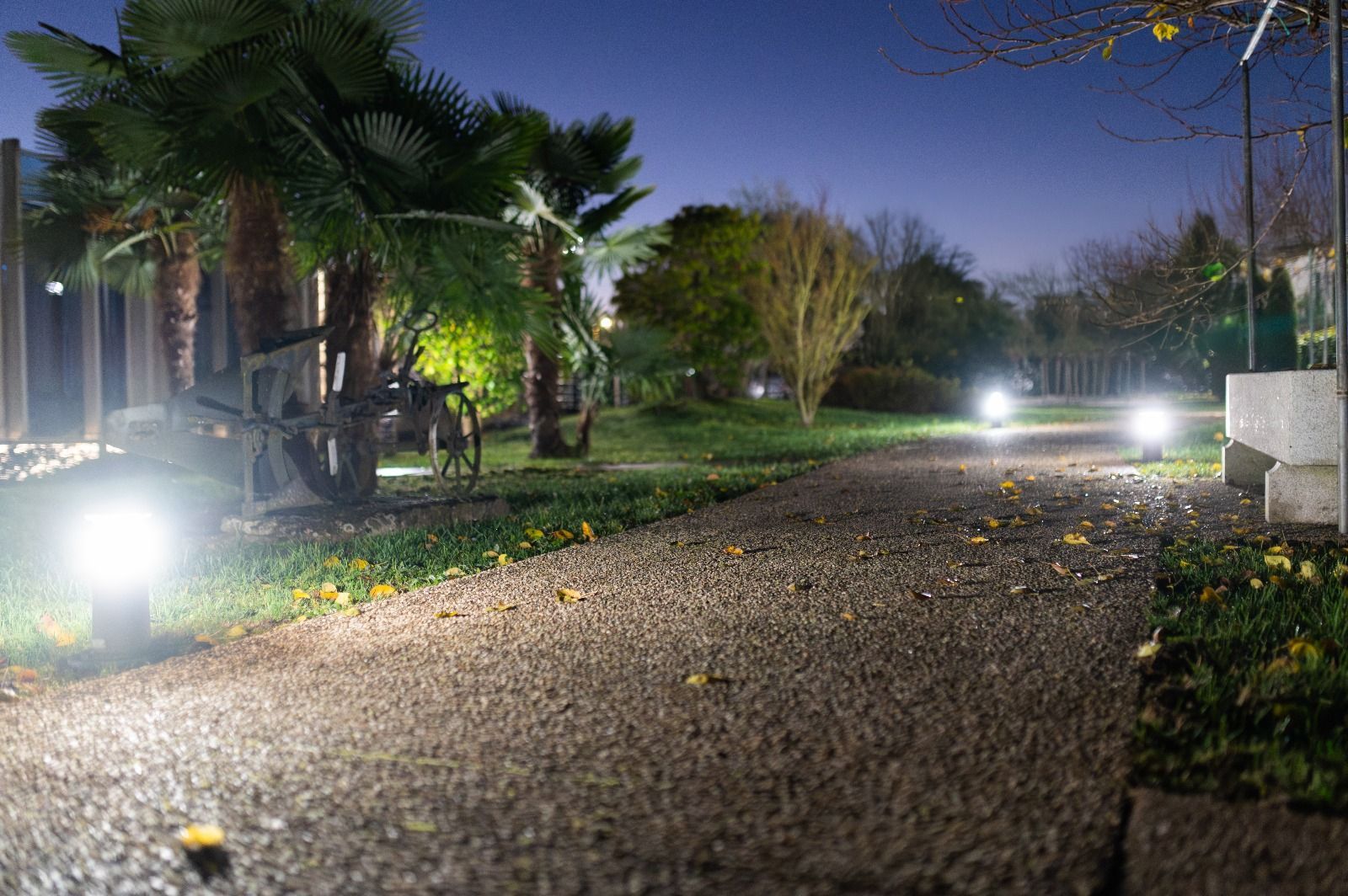 Hay muchas luces en el suelo del parque por la noche.