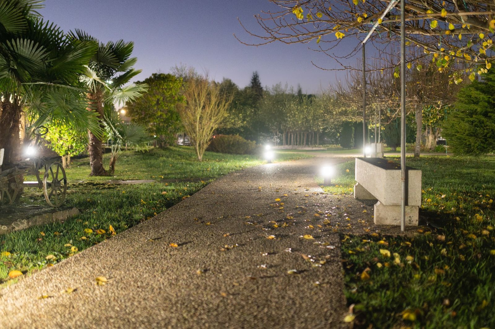 Un camino en un parque está iluminado por la noche.
