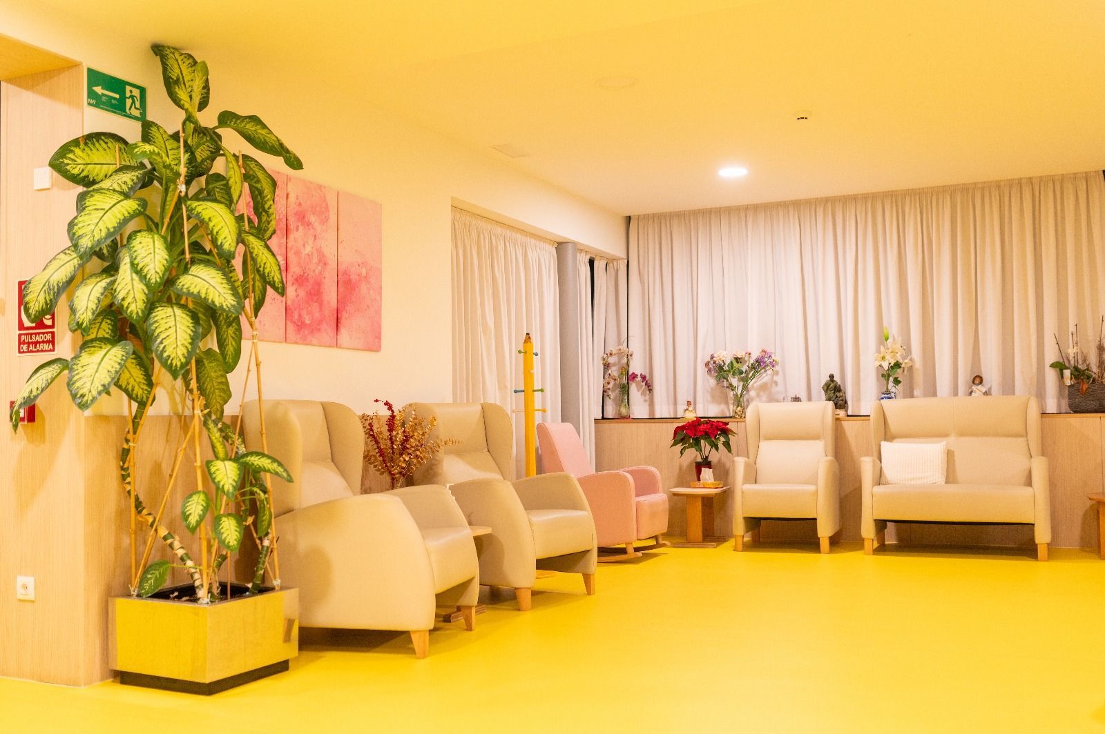 Hay muchas sillas y una planta en la habitación.