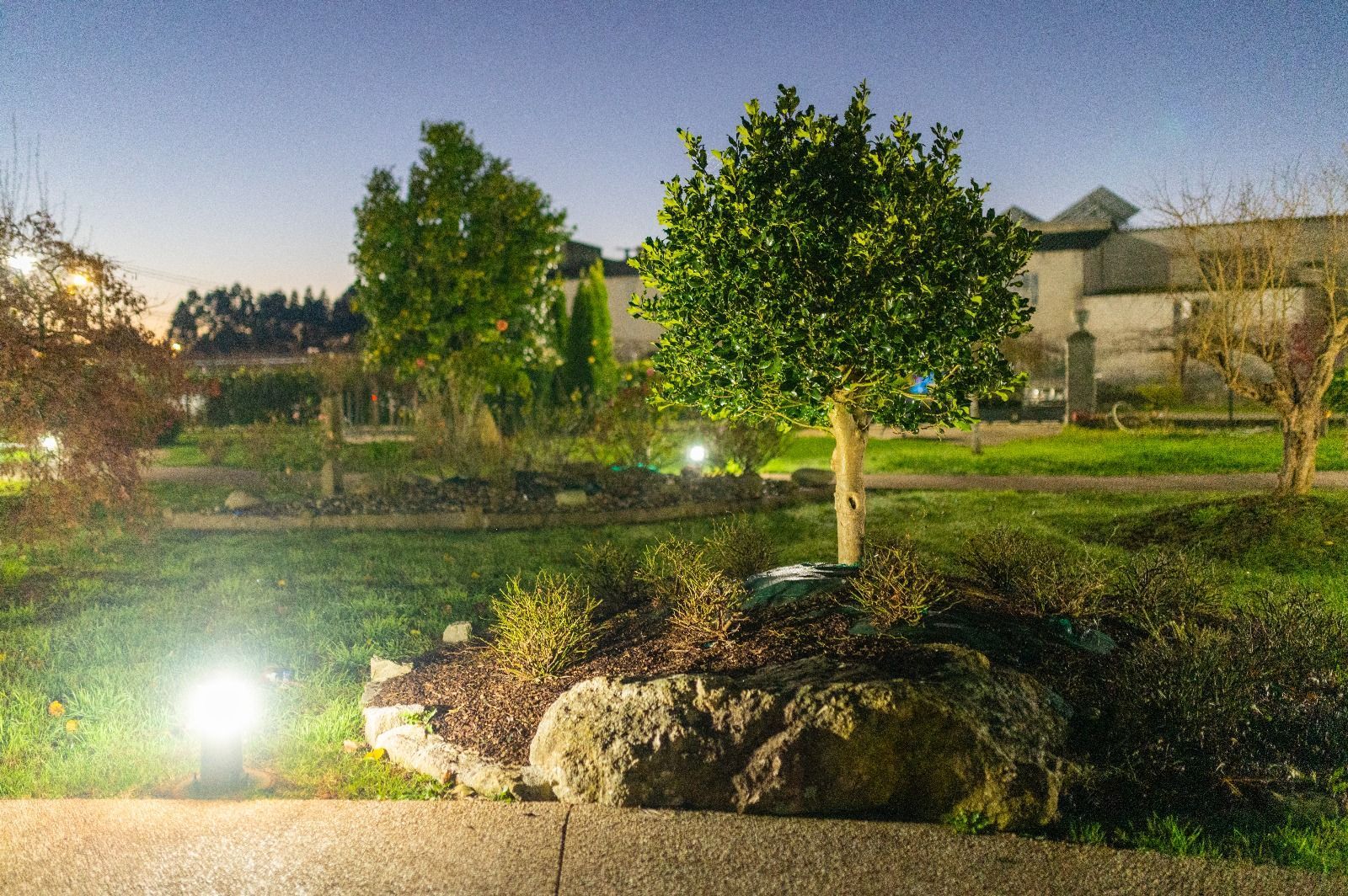 Un parque está iluminado por la noche con árboles y rocas en primer plano y un edificio en el fondo.
