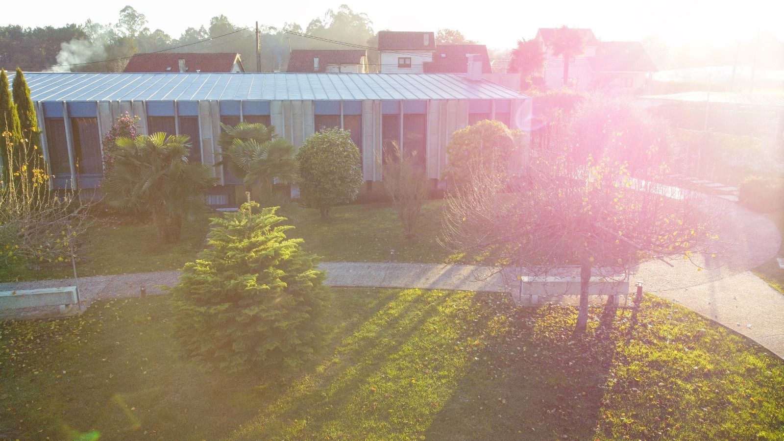 El sol brilla a través de las ventanas de un edificio rodeado de árboles.