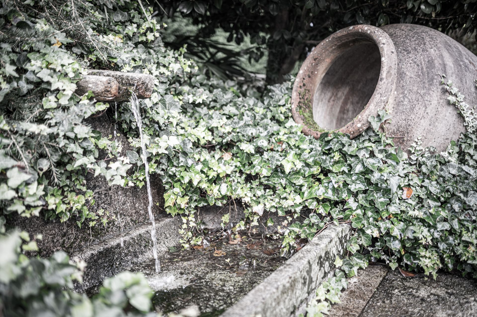 Una cascada sale de una olla de barro rodeada de hiedra.