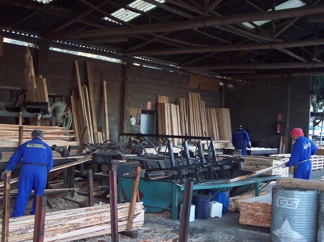 Una pila de madera se apila una encima de otra en un almacén.