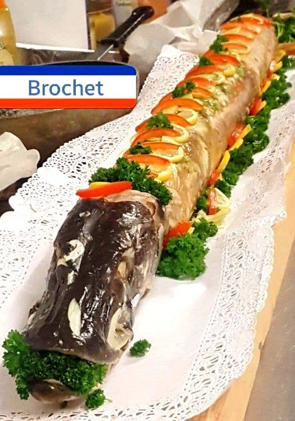 Brochet