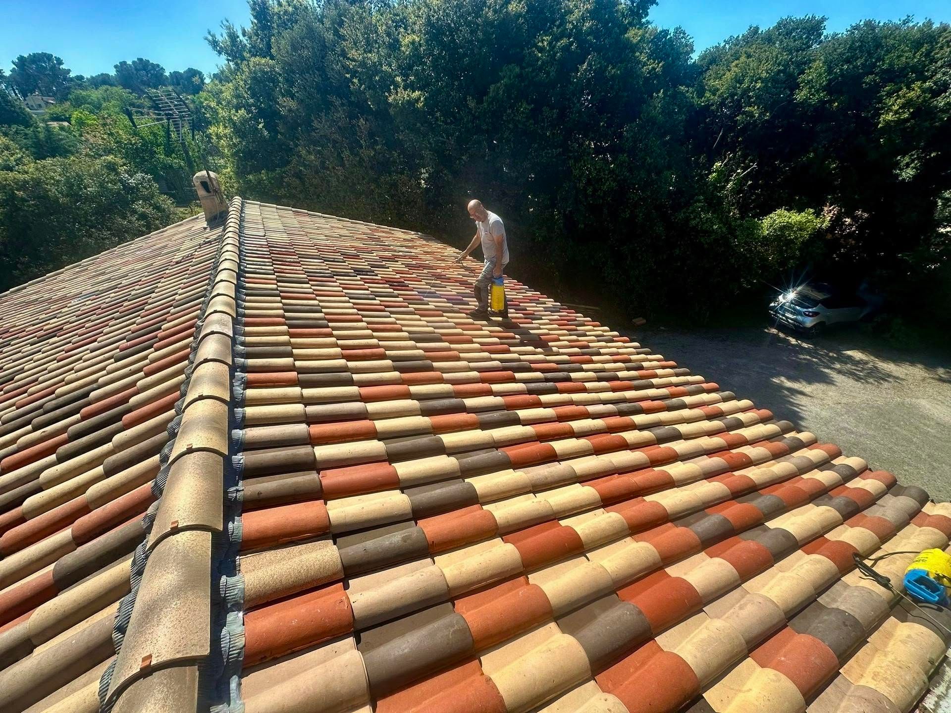 Toit aux tuiles courbes et colorées, une personne debout près du faîte et des arbres en arrière-plan.