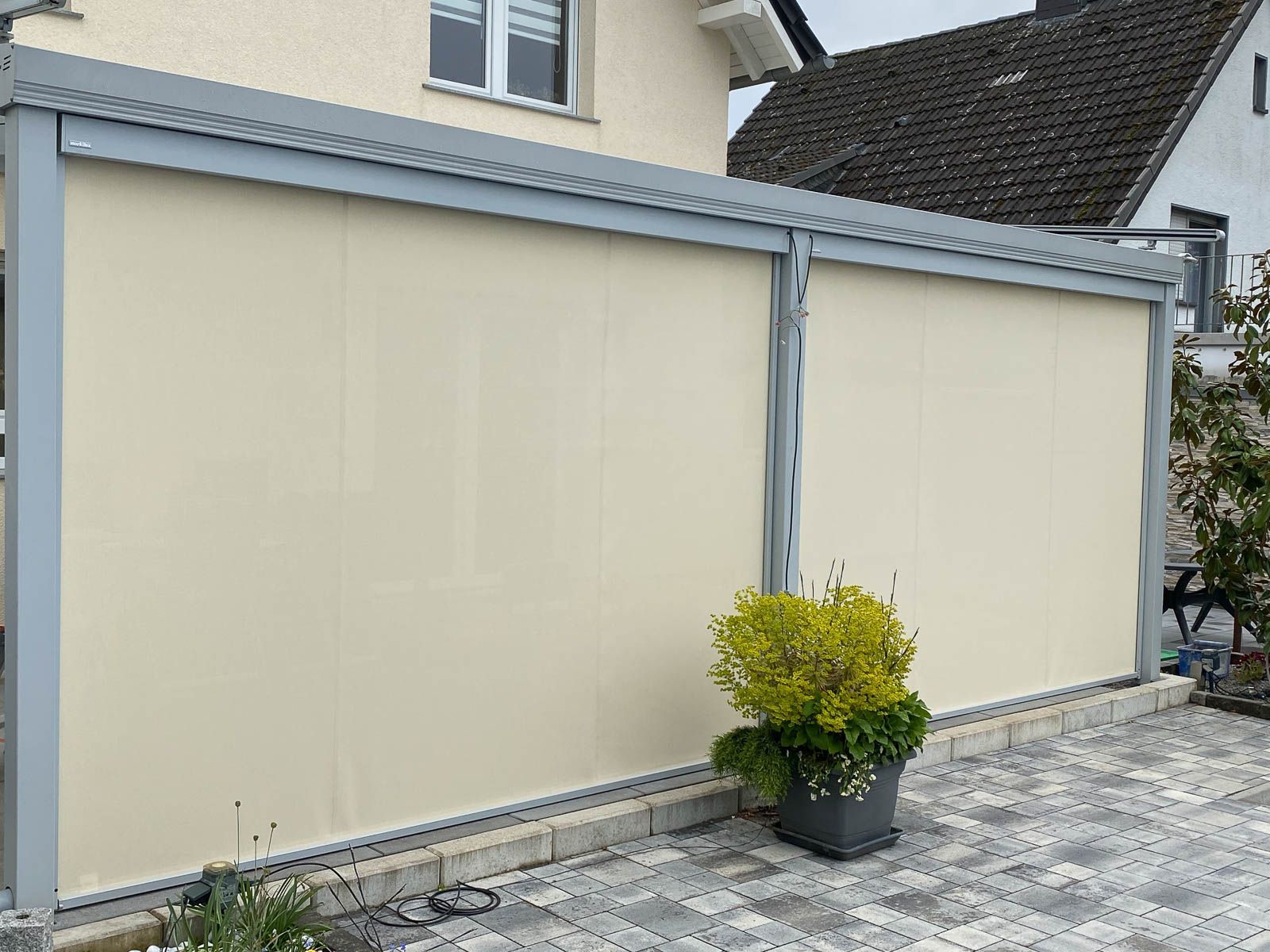 Eine weiße Wand mit einer Topfpflanze davor.