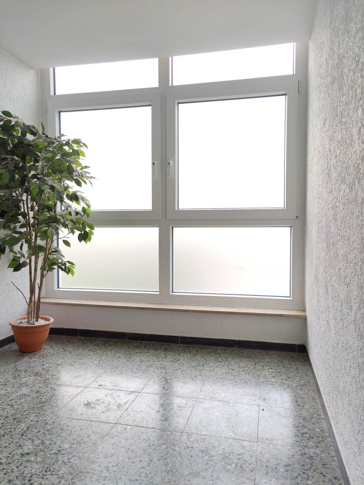 Ein leerer Raum mit einer Topfpflanze vor einem Fenster.