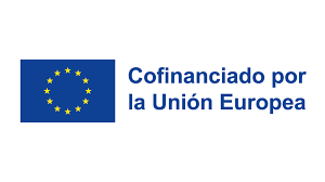 EU flag with text