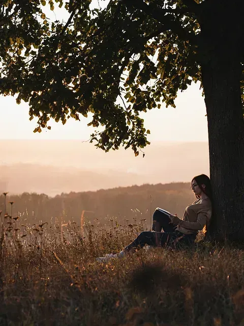 Una mujer está sentada bajo un árbol en un campo leyendo un libro.
