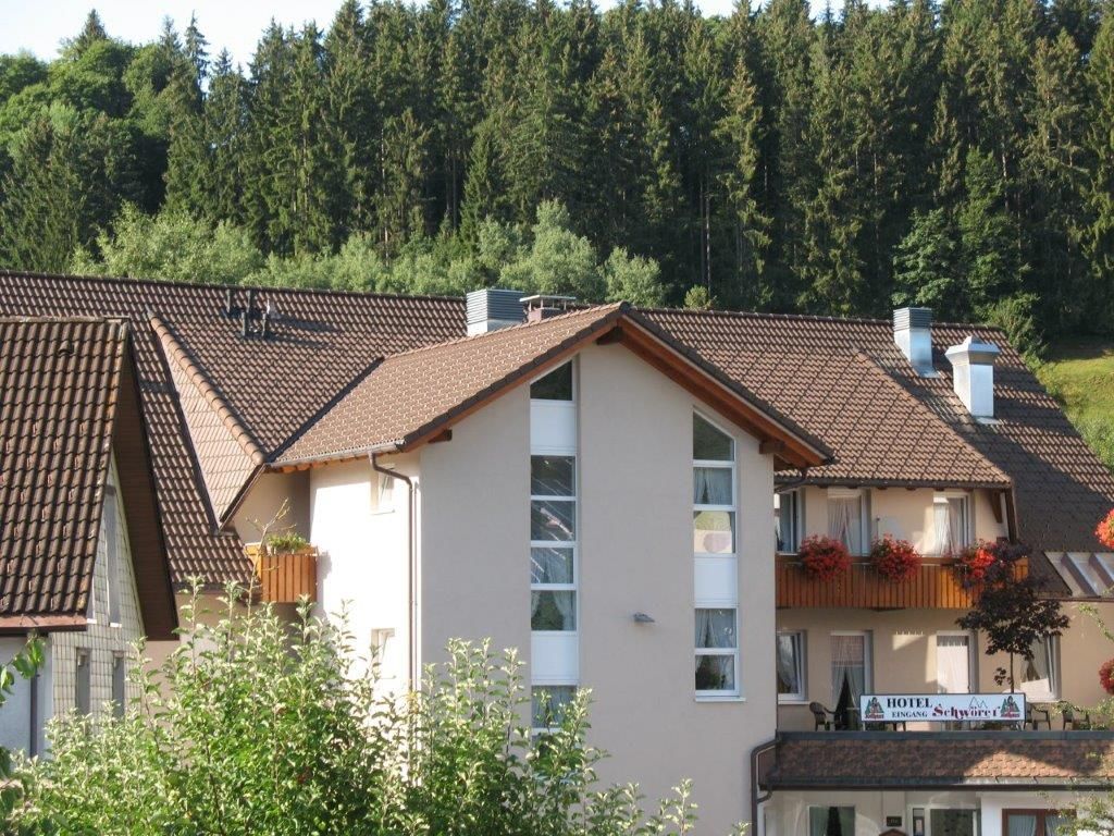 Einfamilienhaus am Hang mit hellbraun eingedecktem Dach und Dachfenstern vor Waldkulisse