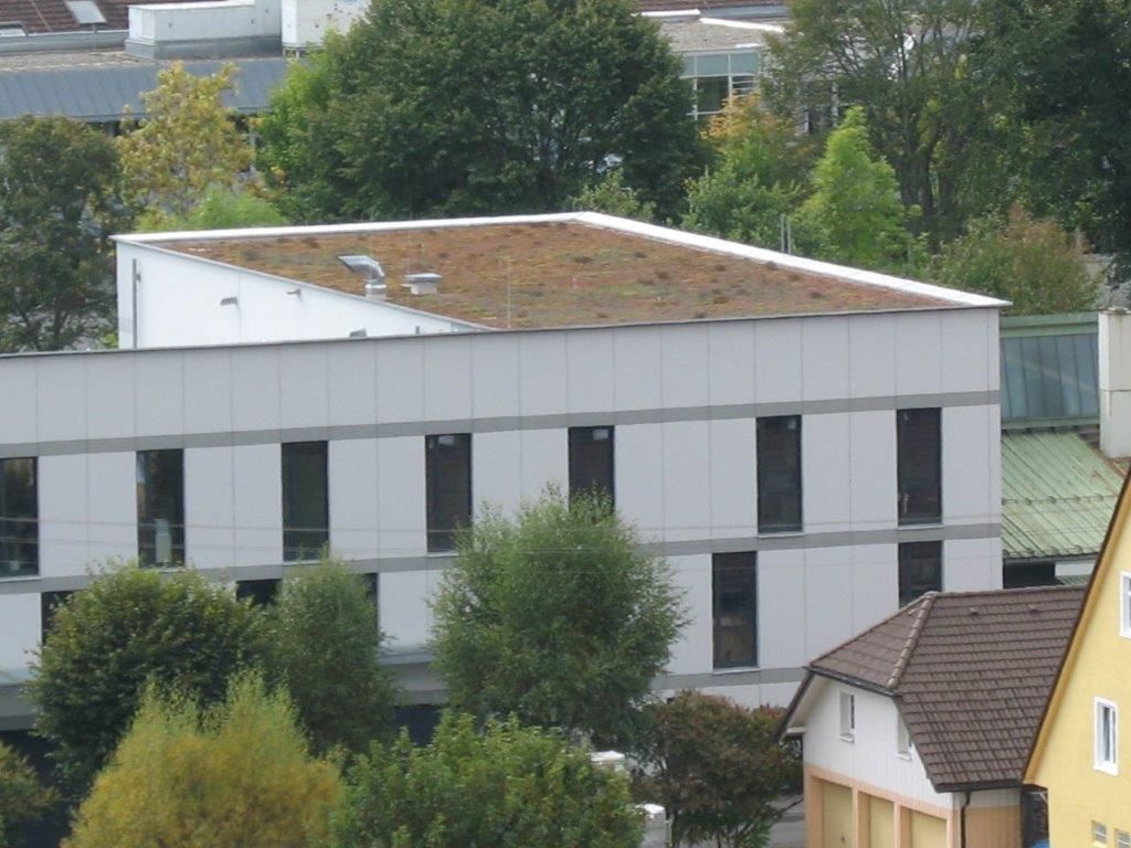 Modernes weißes Gebäude mit begrüntem Flachdach und großen Fenstern