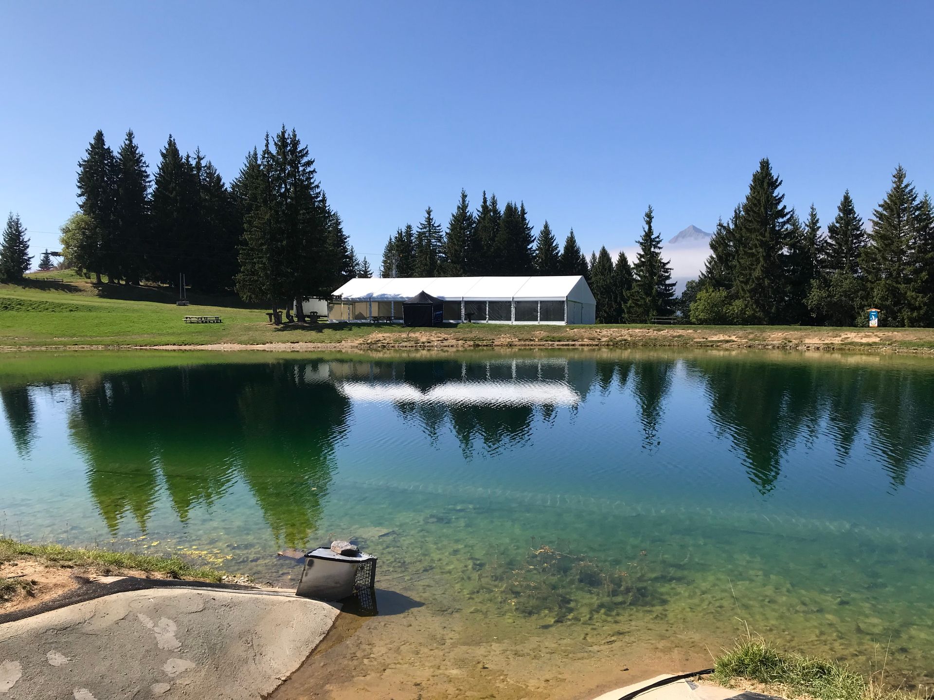 Un étang reflète un bâtiment blanc, des arbres et un ciel bleu.