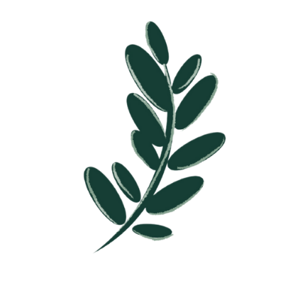 Ilustración estilizada de una rama frondosa de color verde oscuro sobre un fondo blanco.