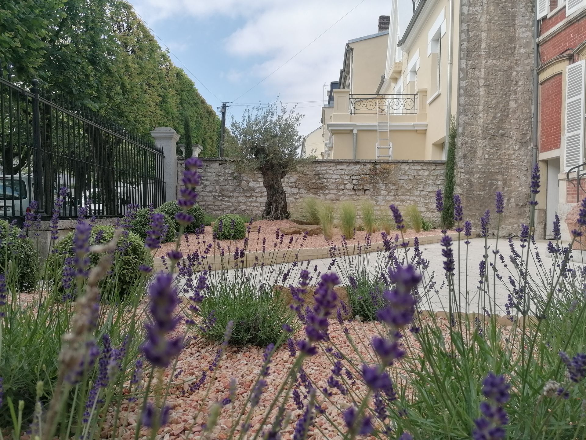 Devanture de maison avec buissons et lavande