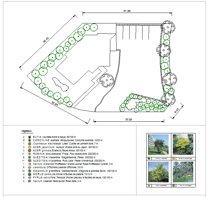 Jardin avec différentes fleurs et plantes, plan architecte paysagiste