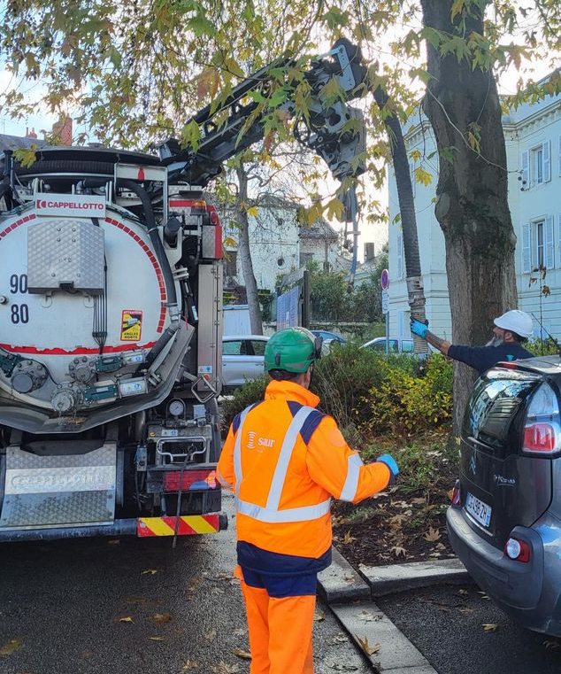 Une hydrocureuse à côté d'un arbre.
