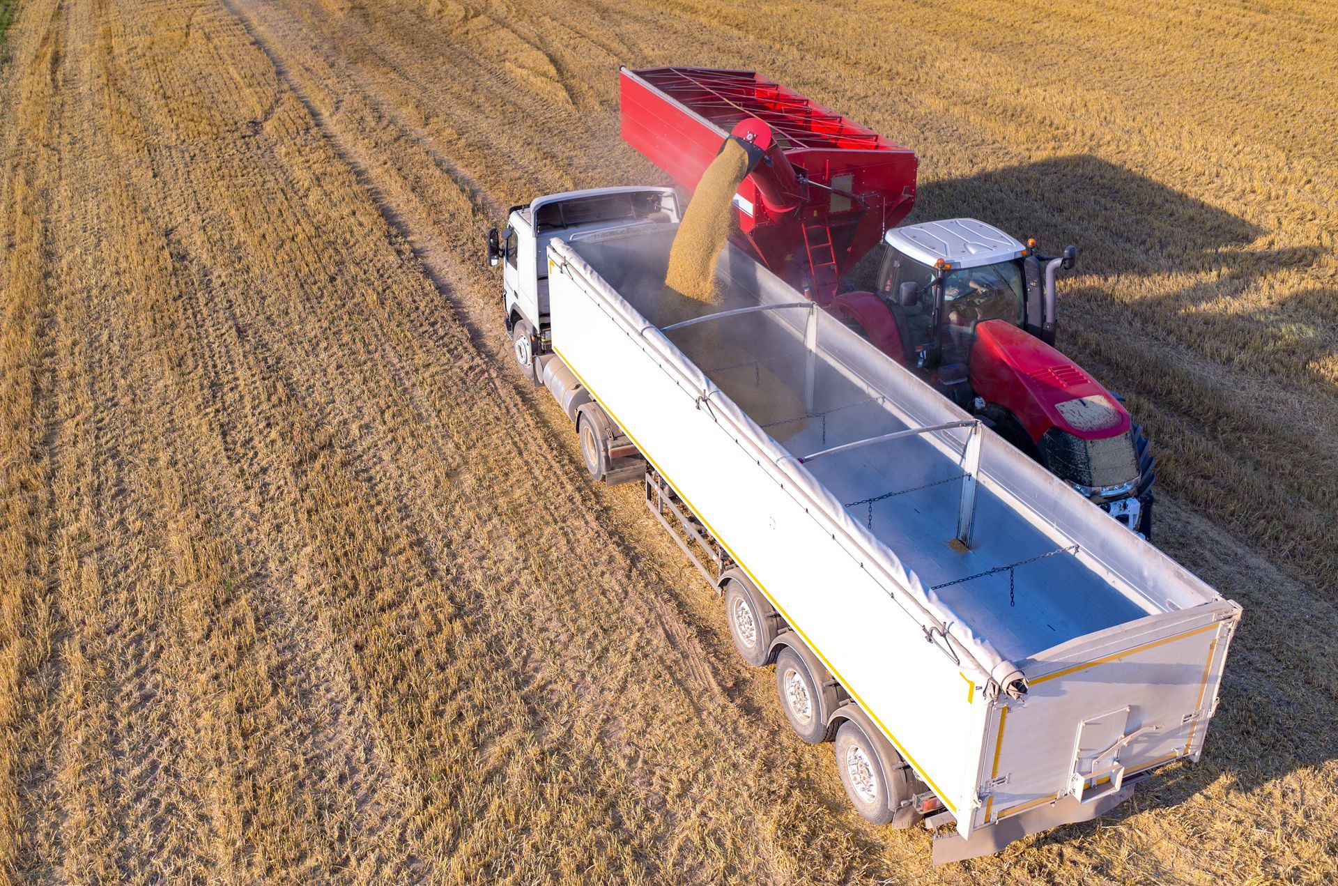 Una vista aérea de un tractor cargando grano en un camión semirremolque.