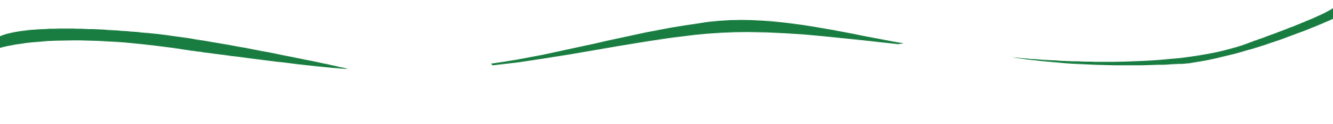 Krankenfahrten Bräuer GmbH