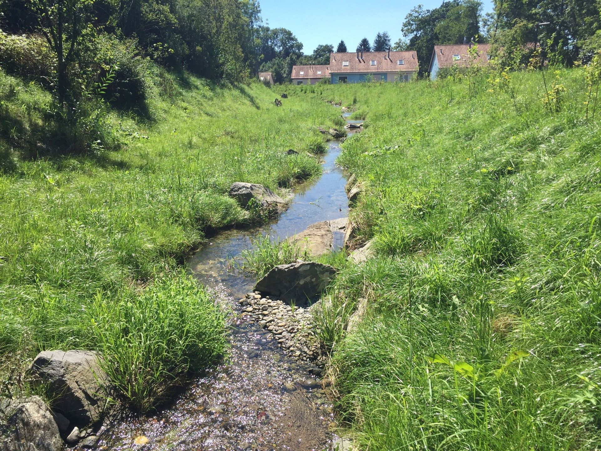 Commune d'Echallens: sécurisation du Botterex
