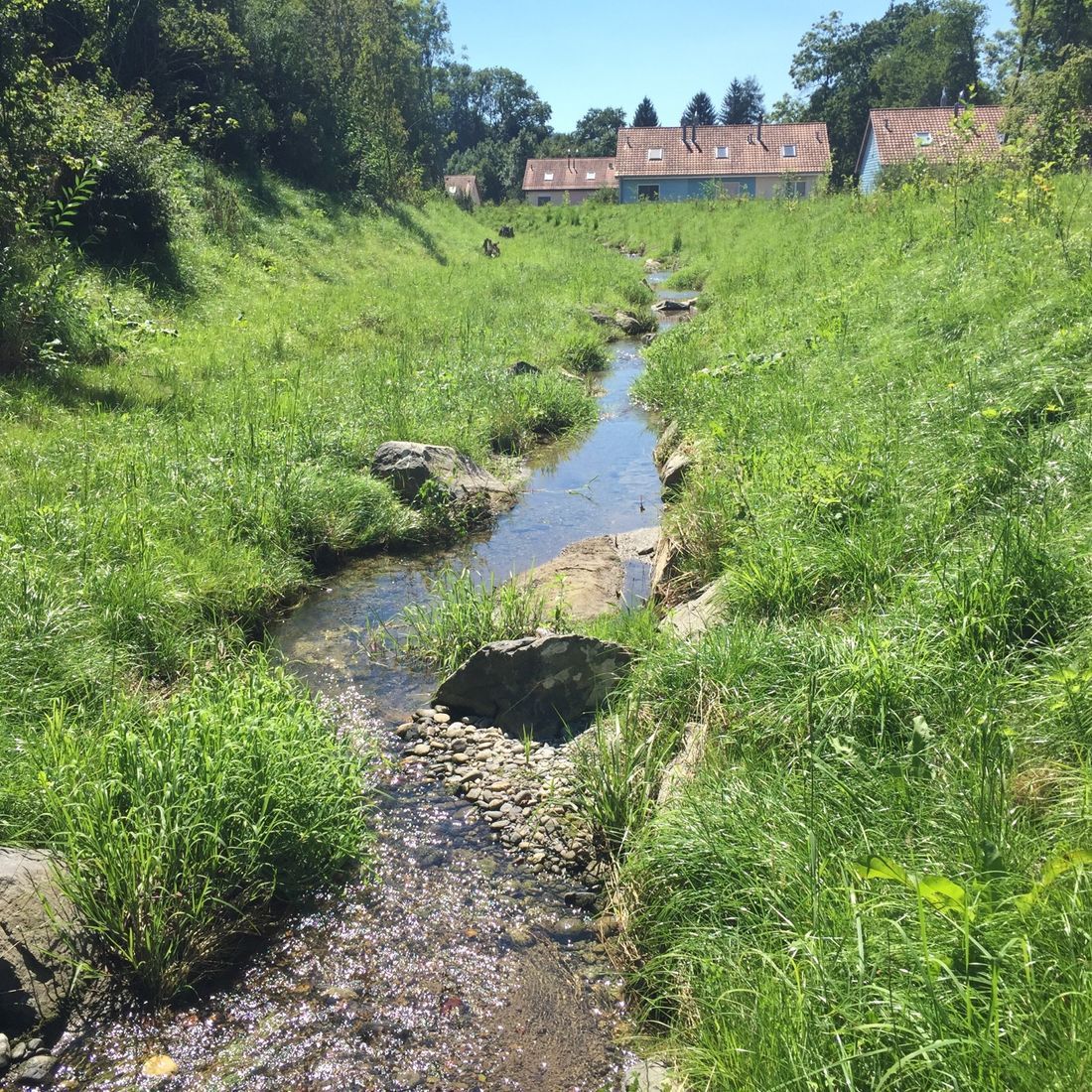 Securisation du Botterex
