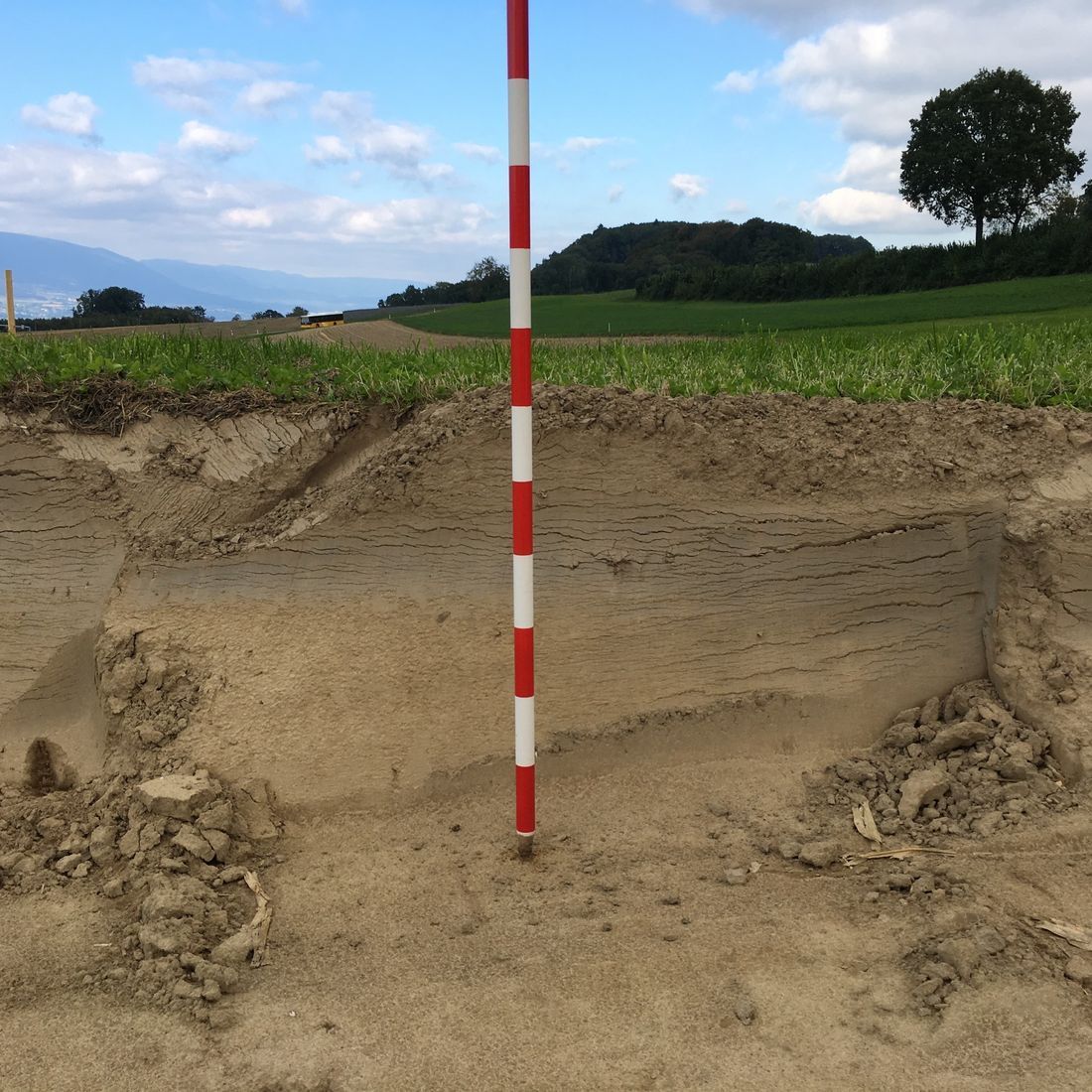 Suivi pédologique lors d'un réaménagement parcellaire
