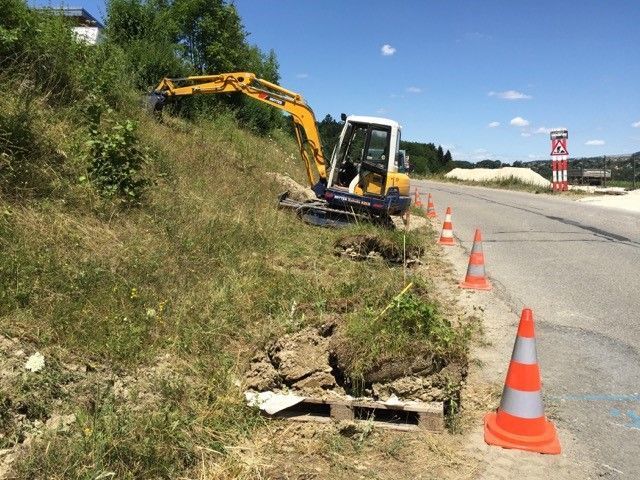 Direction générale de la mobilité et des routes, Etat de Vaud nouvelle route RC177 – Transplantation d’orchidée dans le cadre du chantier