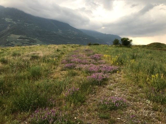 Commune de Sierre - Ancienne décharge Alusuisse (Pramont), acutellement Rio Tinto METALLWERKE REFONDA
