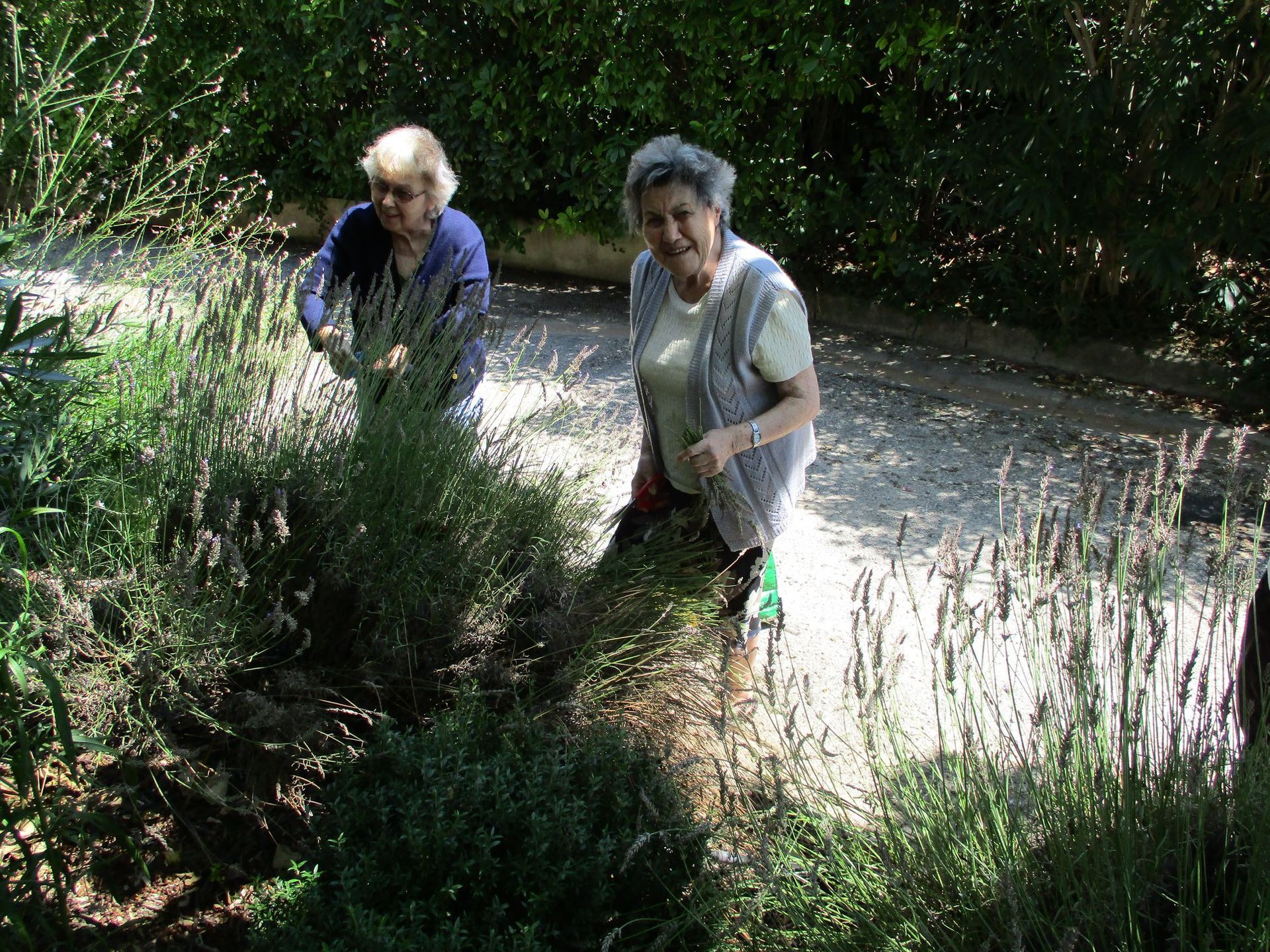 Jardinage avec les résidents