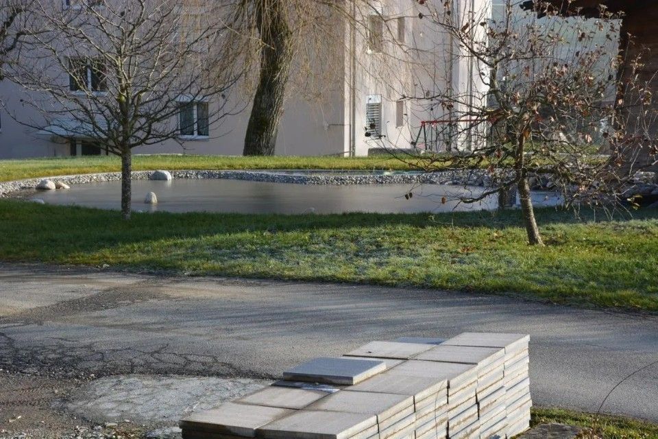 Étang recouvert d'une fine couche de glace, entouré d'herbe et d'arbres, devant un bâtiment.
