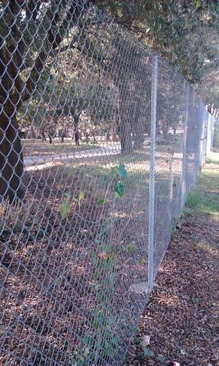 Una valla de alambre está rodeada de árboles en un parque.